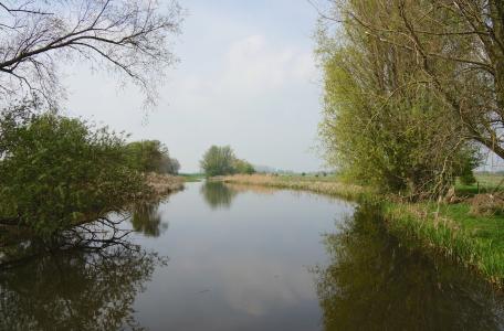 Oude Rijn