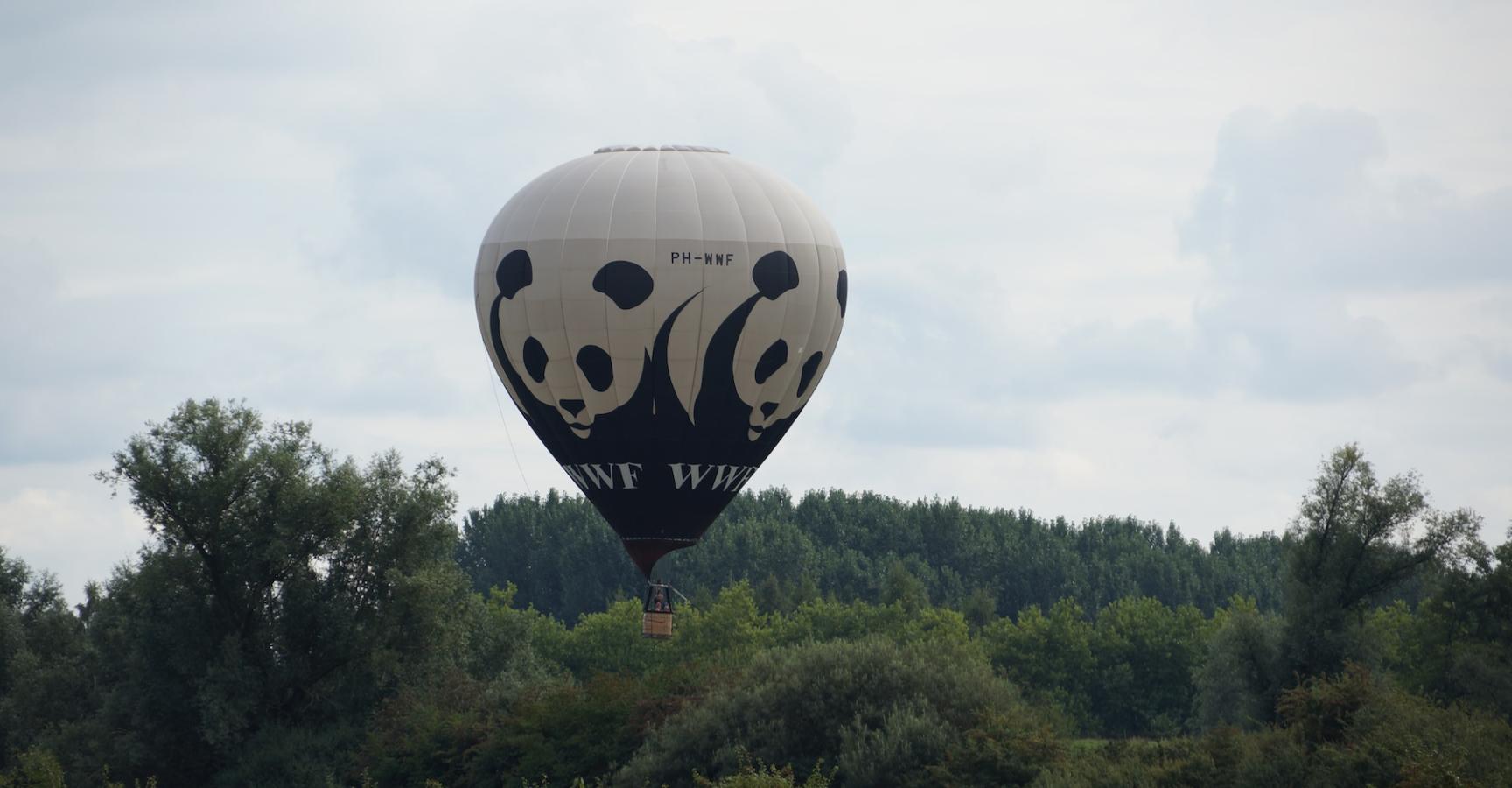 Wereld Natuur Fonds Ballon boven de Millingerwaard